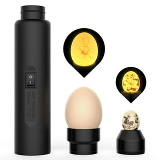 Bright Cool LED Light Egg Candler Tester, Power by Power Supply Only, for  All Types Egg Broody or Incubator Monitor The Development 