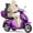 800W-Purple, variant on Upgrade Heavy Duty 3 Wheel Mobility Scooter for Seniors & Adults 500lbs Capacity,Electric Powered Wheelchair Device for Travel,800W All Terrain Mobility Scooter,31 Miles Range,7-15 Mph(Purple)