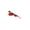 Deep Red, variant on Interactive Cat Feather Toy Refill with Bell, Plush Bird Attachment for Teaser Wand, Durable Indoor Kitten Hunting Exercise Accessory, Blue