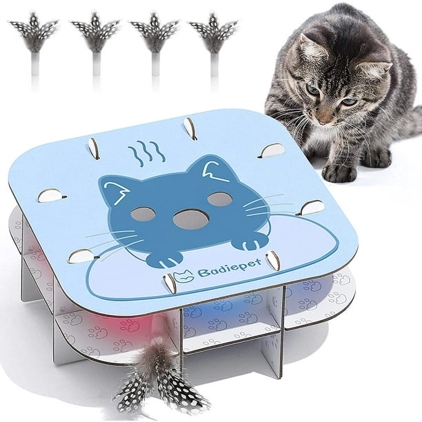 Interactive Cat Toys for Indoor Cats Badiepet Automatic Toy