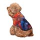 thumbnail image 5 of Balery Vibrant Hummingbird Watercolor Art Sudadera con Capucha para Perros Pequeños – Ropa para Mascotas, Disfraz para Perros y Gatos, Ideal para Fiestas y Cosplay-X-Large, 5 of 7