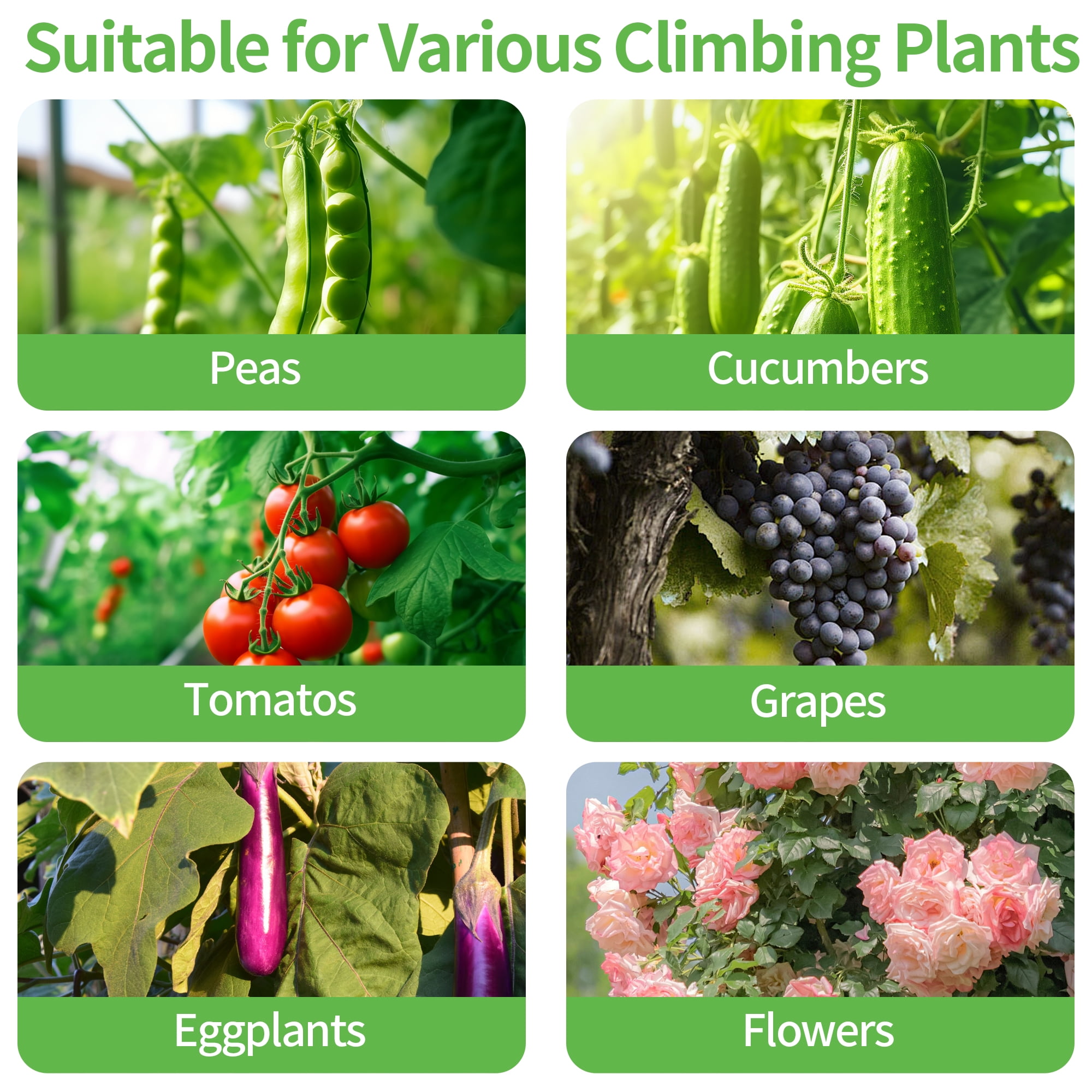 Cucumber Trellis for Climbing Plants Outdoor,48 X 48In Foldable A-Frame Trellis Tall Cucumber Trellis for Raised Bed Garden Trellis for Vegetables with Climbing Net for Bean Squash,Grape Zucchini