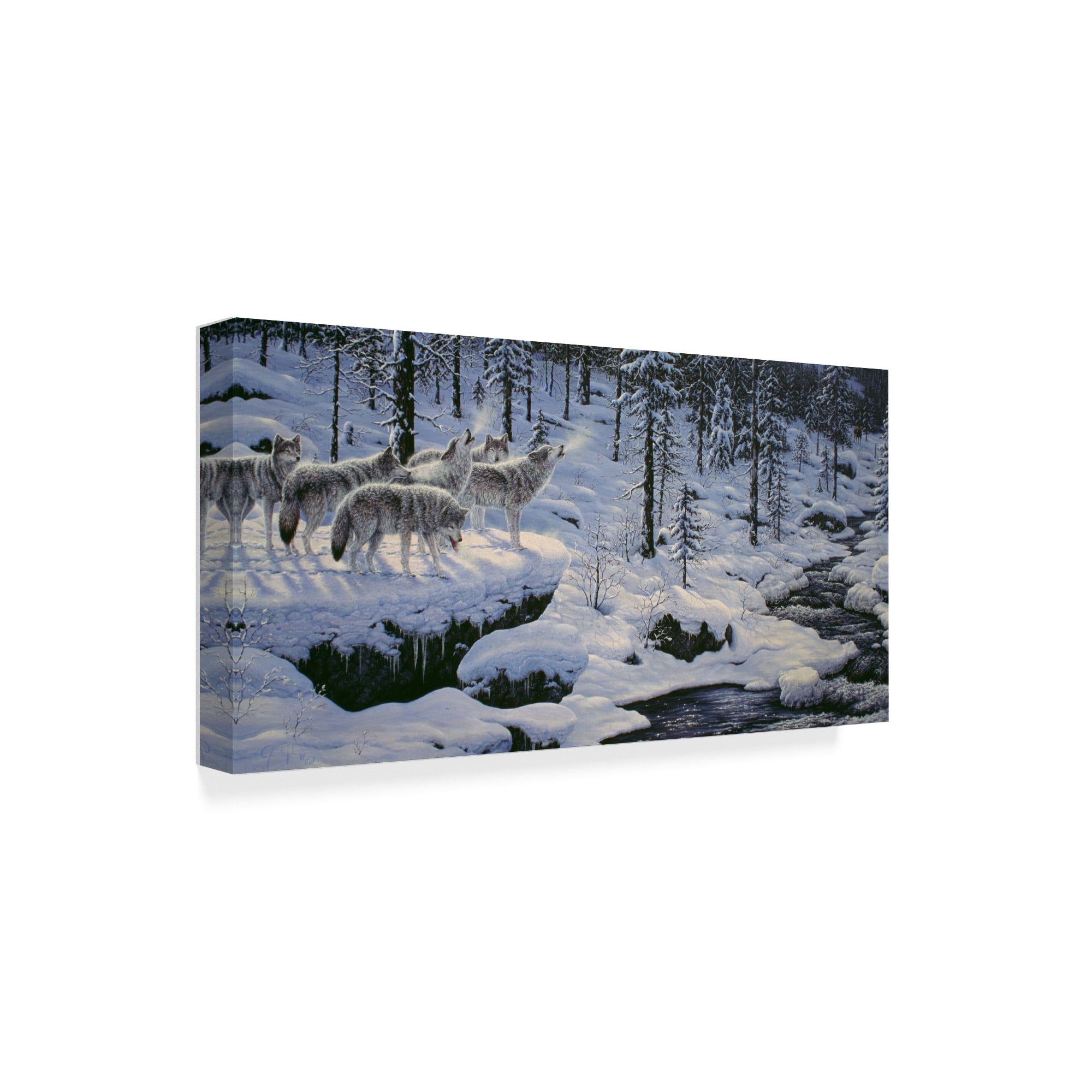 Trademark Fine Art 'Winters Cry' Canvas Art by Jeff Tift