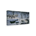 thumbnail image 2 of Trademark Fine Art 'Winters Cry' Canvas Art by Jeff Tift, 2 of 3