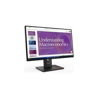 Lenovo Portable ThinkVision M14d 14