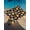 Black, variant on Outdoor Sun Shade Sail 6.5'x10', Brown Basketball Football Patio Beach Shade Canopy Cloth Waterproof, Modern Art Ball Rustic TearResistant & UV Protection Sun Sail for Backyard Garden Deck