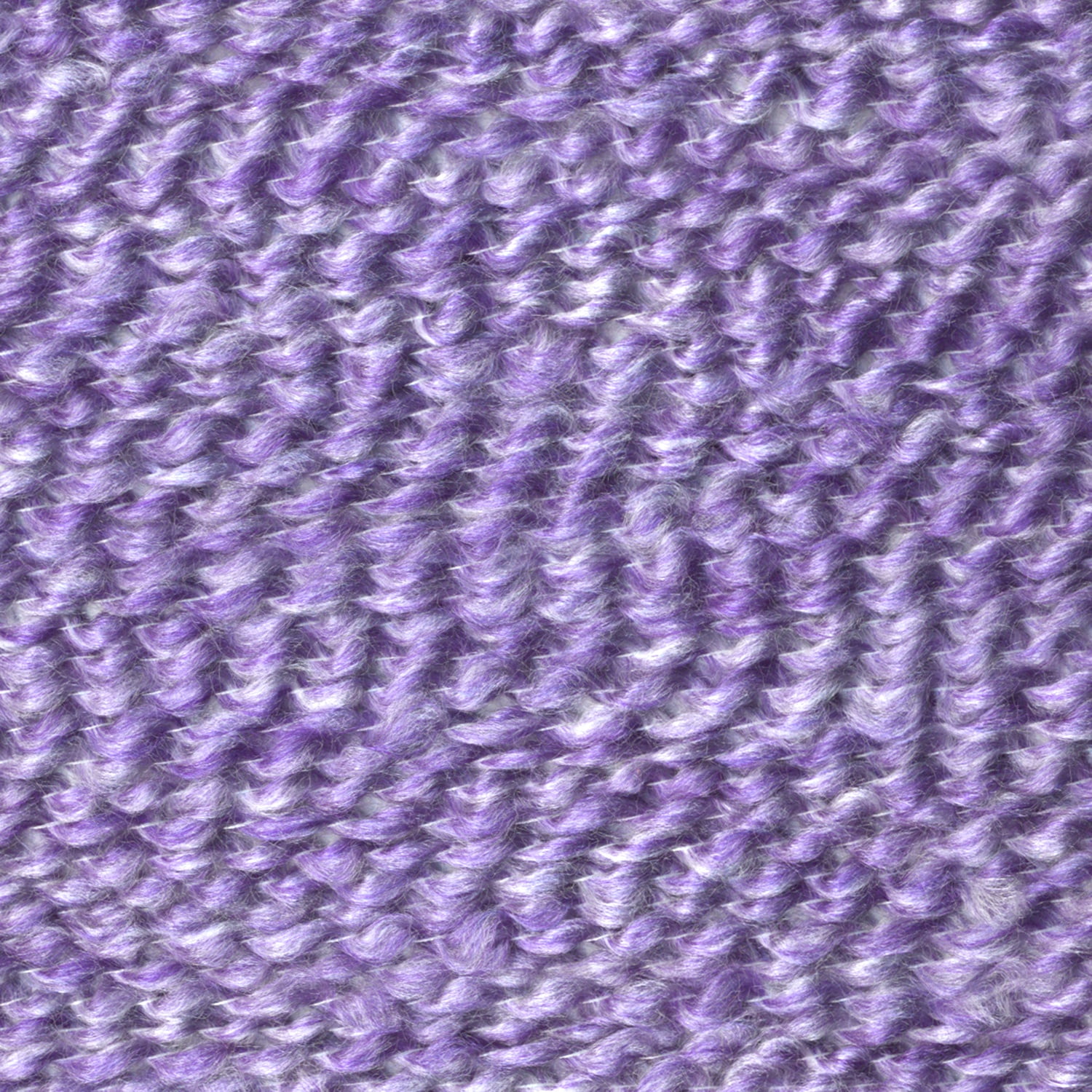 Purple Aster