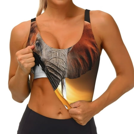 Qokaie Elephant Sunset in Kenya Pattern Womens Scoop Neck Sports Bra Breathable Workout Vest Padded U Back Medium Impact Fitness Gym Yoga Bra Workout Crop Top