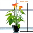 thumbnail image 2 of Realistic Orange Calla Lily Faux Potted Plant with Black Pot, 2 of 6