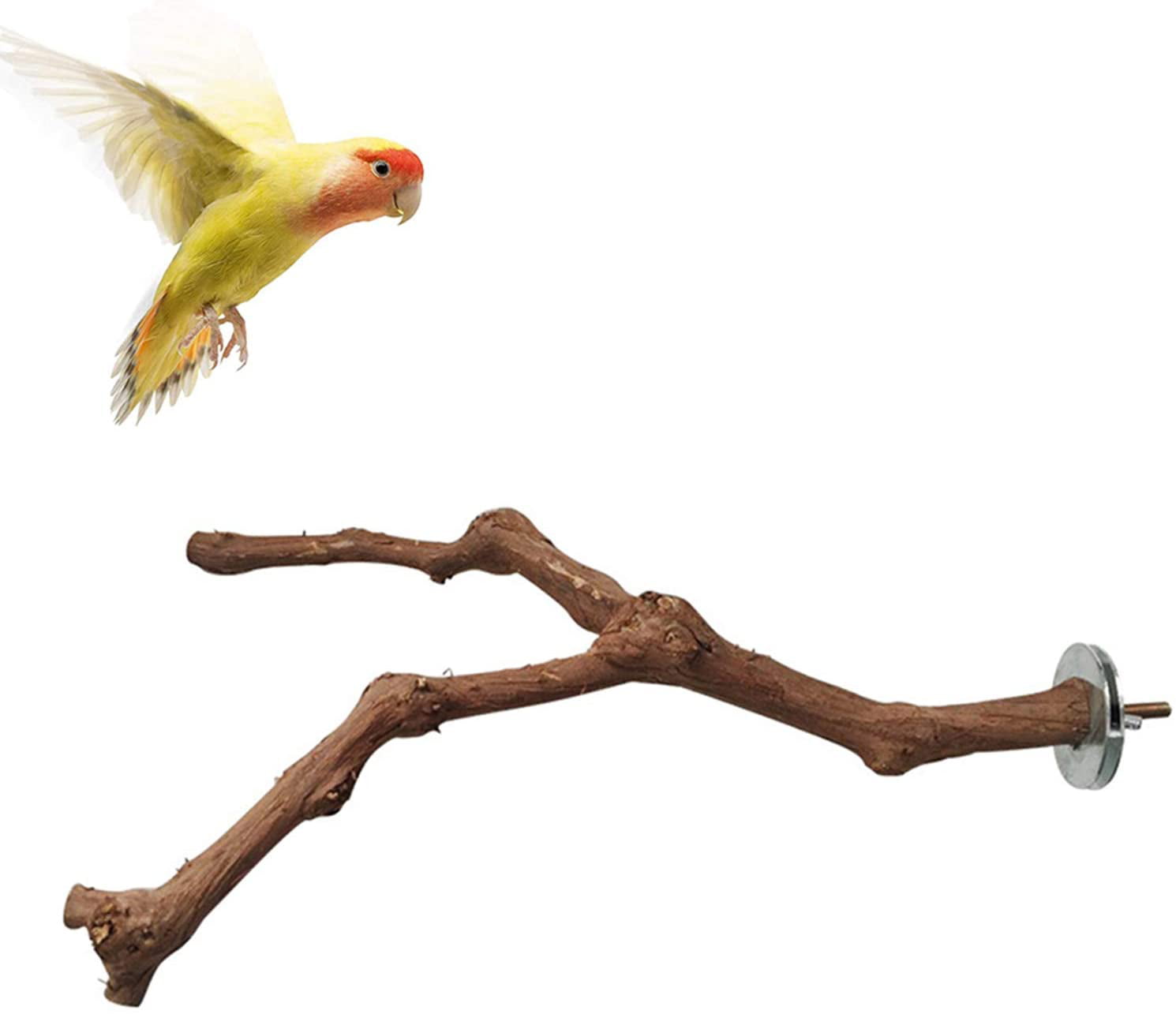 Birds Stand Pole Natural Wild Grape Stick Grinding Paw Climbing Standing Cage Accessories Toy Branches for Parakeet Budgies Lovebirds Canary Omawrf 2 Pcs Bird Parrot Perches for Cage Type 1