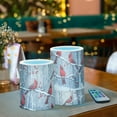 thumbnail image 6 of Red Cardinals Flickering Flameless Candles Battery Operated with Remote Timer LED Pillar Candles Set of 2, 6 of 7