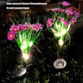 thumbnail image 2 of IP65 impermeable para jardín césped patio estanque patio trasero luces solares de flores coloridas Hugtrwg Para estrenar, 2 of 9