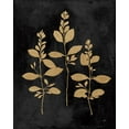 thumbnail image 2 of Purinton, Julia 12x14 Gold Ornate Wood Framed with Double Matting Museum Art Print Titled - Botanical Sutdy IV GB, 2 of 4