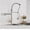 BRUSH GUANG, variant on Blackend Spring Kitchen Faucet Pull Out Side Sprayer Dual Spout Single Handle Mixer Tap Sink Faucet 360 Rotation Kitchen Faucets