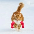 thumbnail image 3 of Accessoires d'Halloween pour Bras Musclés de Chat, Impression 3D, Jeu de Rôle pour Animal, Conception Réglable et Légère pour Déguisements Amusants, Fêtes et Événements, 3 of 5
