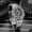 AD2103 Black, variant on Men's Automatic Skeleton Diver Watch, 200M Waterproof, Sapphire Crystal, Japanese 8N24 Movement, 42mm Stainless Steel
