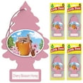 thumbnail image 2 of Little Trees Air Freshener Cherry Blossom Honey Fragrance 24-Pack, 2 of 8