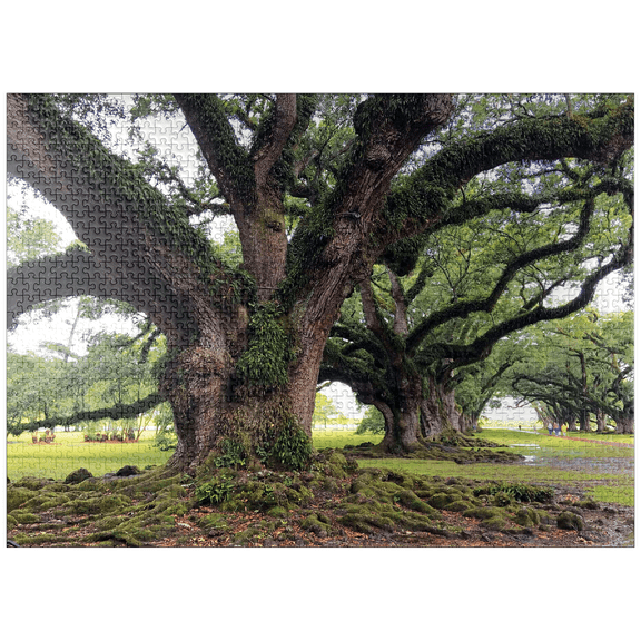 MyPuzzle - Nature Photography: Southern Live Oak, North Carolina, No.1 - Premium 1000 Piece Jigsaw Puzzle for Adults
