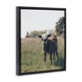 thumbnail image 2 of Stupell Industries Traditional Cow Calf Rural Farm Meadow Black Floating Frame Canvas Art, 25 x 31, by Krista Broadway, 2 of 7