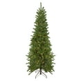 thumbnail image 2 of Northlight Pre-Lit Canadian Pine Artificial Pencil Christmas Tree - 6.5' - Clear Lights, 2 of 5