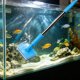 thumbnail image 4 of Cepillo para Acuario con Mango Telescópico: Limpiador de Esponja Ajustable de 180° para Paredes de Cristal de Peceras, Cepillo de Largo Alcance para Acuarios Profundos de Hasta 1 Metro., 4 of 7