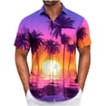 thumbnail image 2 of IROINNID T-Shirts for Big and Tall Men, Summer Essentials Lightweight Thin Basic V-Neck Lapel Botton Beach Loose Tops for Men, 2 of 5