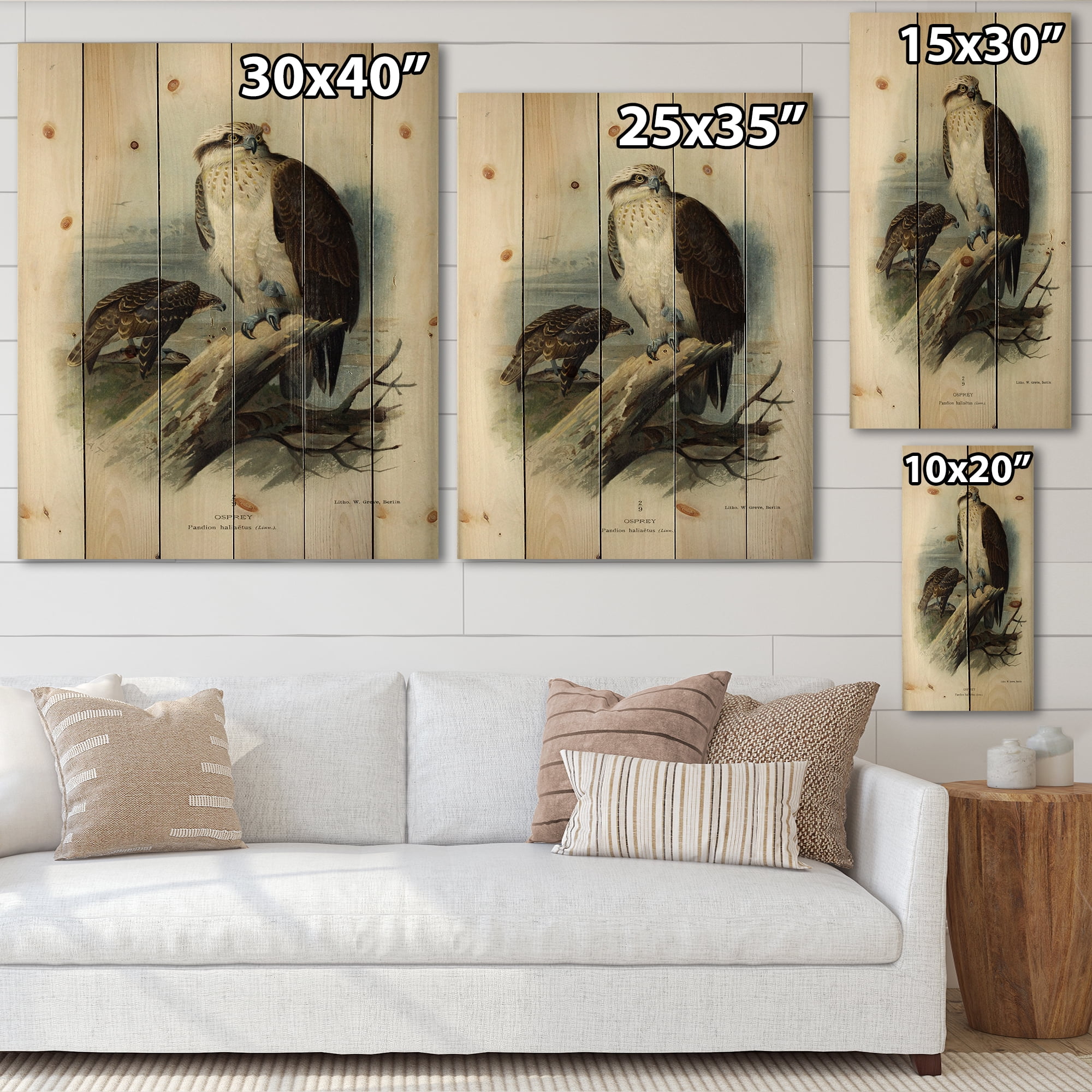 Designart 'Ancient Bird Life VI' Traditional Print on Natural Pine Wood