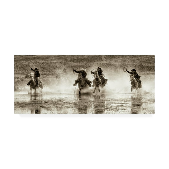 Trademark Fine Art 'Splash Dance II' Canvas Art by Lisa Dearin