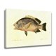 thumbnail image 2 of Póster de pintura de peces, pintura decorativa, lienzo, arte de pared, carteles para sala de estar, pintura para dormitorio, estilo marco, 20 x 30 cm, 2 of 8