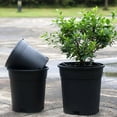 thumbnail image 4 of Injueey Macetas para plantas de 5 piezas, maceta profunda con aberturas laterales para un mejor aumento del crecimiento de las raíces Jardín y Patio 14 agujeros, 4 of 6