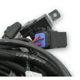 thumbnail image 3 of Holley EFI 558-122 Engine Wiring Harness, 3 of 3