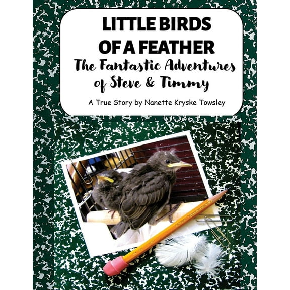Little Birds of a Feather: The Fantastic Adventures of Steve and Timmy, (Paperback)
