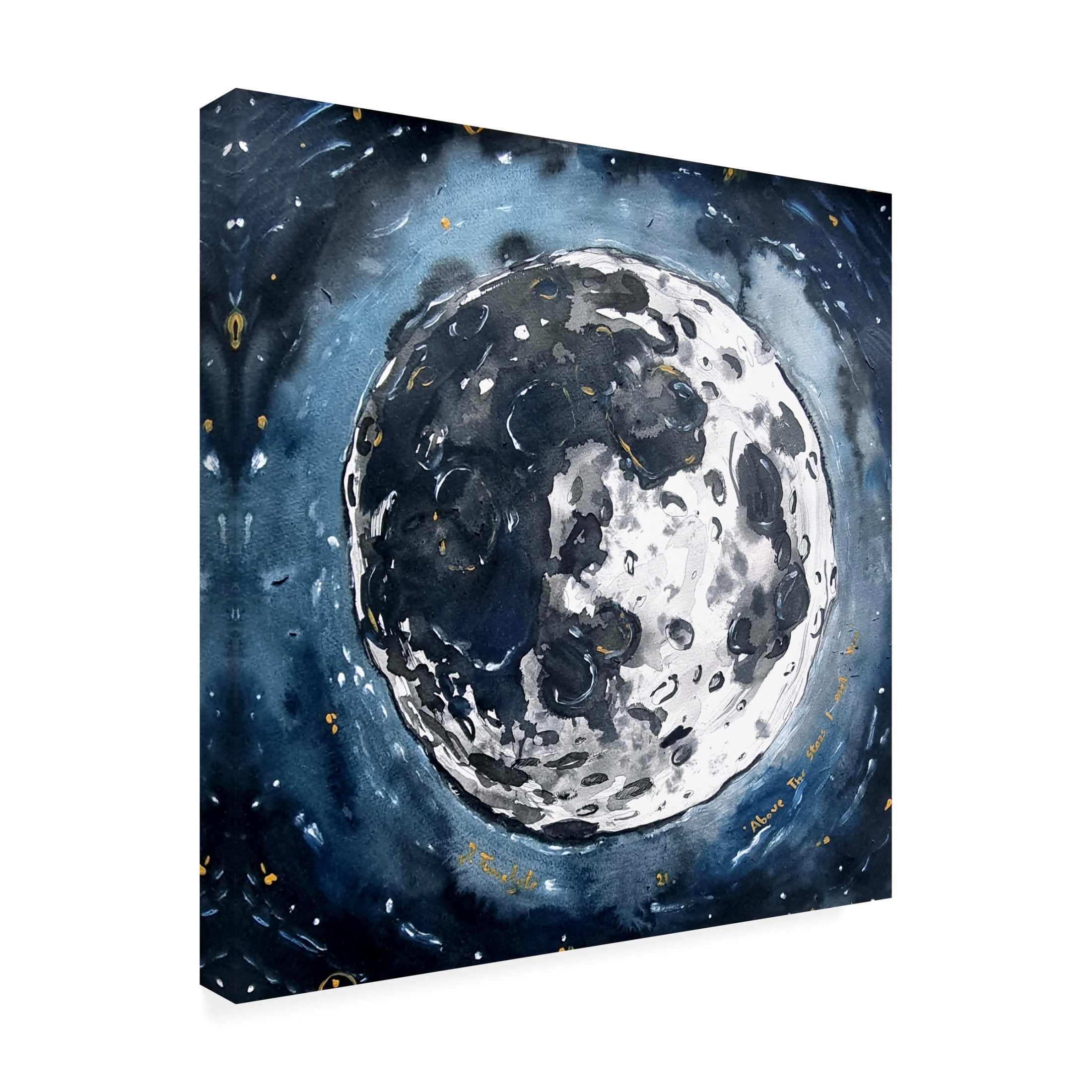 Trademark Fine Art Julija Belickien? Above the stars I met you Canvas Wall Art