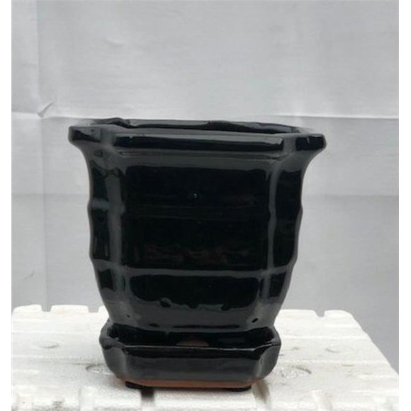 5.5 x 5.5 x 5.5 in. Black Ceramic Bonsai Pot with Humidity & Drip Tray&#44; Square