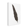 thumbnail image 2 of Trademark Fine Art 'Black Feather VI' Canvas Art by Chris Paschke, 2 of 3