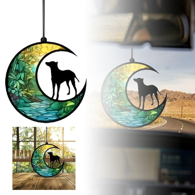 Riforla Functional Home Window Decoration Pendant Perfectly Combining and Practicality Suitable for Various Styles of Homes Lighting up Your Life Every Day Hangs E