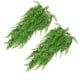 thumbnail image 2 of Plantas colgantes artificiales Wosthever Decorativas Ratán falso 2 Piezas, 2 of 6