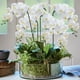 thumbnail image 4 of 3 piezas de tallos de orquídea artificial MENGJIAQI orquídeas de gran flor blanca 37 pulgadas, 4 of 7