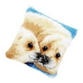 thumbnail image 2 of Youkk Simple And Practical Develop Hobby Beautiful Pattern DIY Cushion AssortedColor 249 43×43cm, 2 of 6