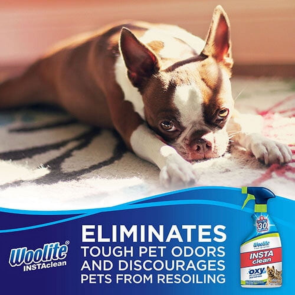 Woolite® INSTAclean® Stain Remover