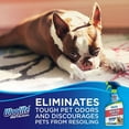 Woolite INSTAclean Pet, 22 oz Oxy Spot Deep Odor Remover for Carpets