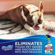 Woolite INSTAclean Pet Stain Remover, 22 oz, 1684W