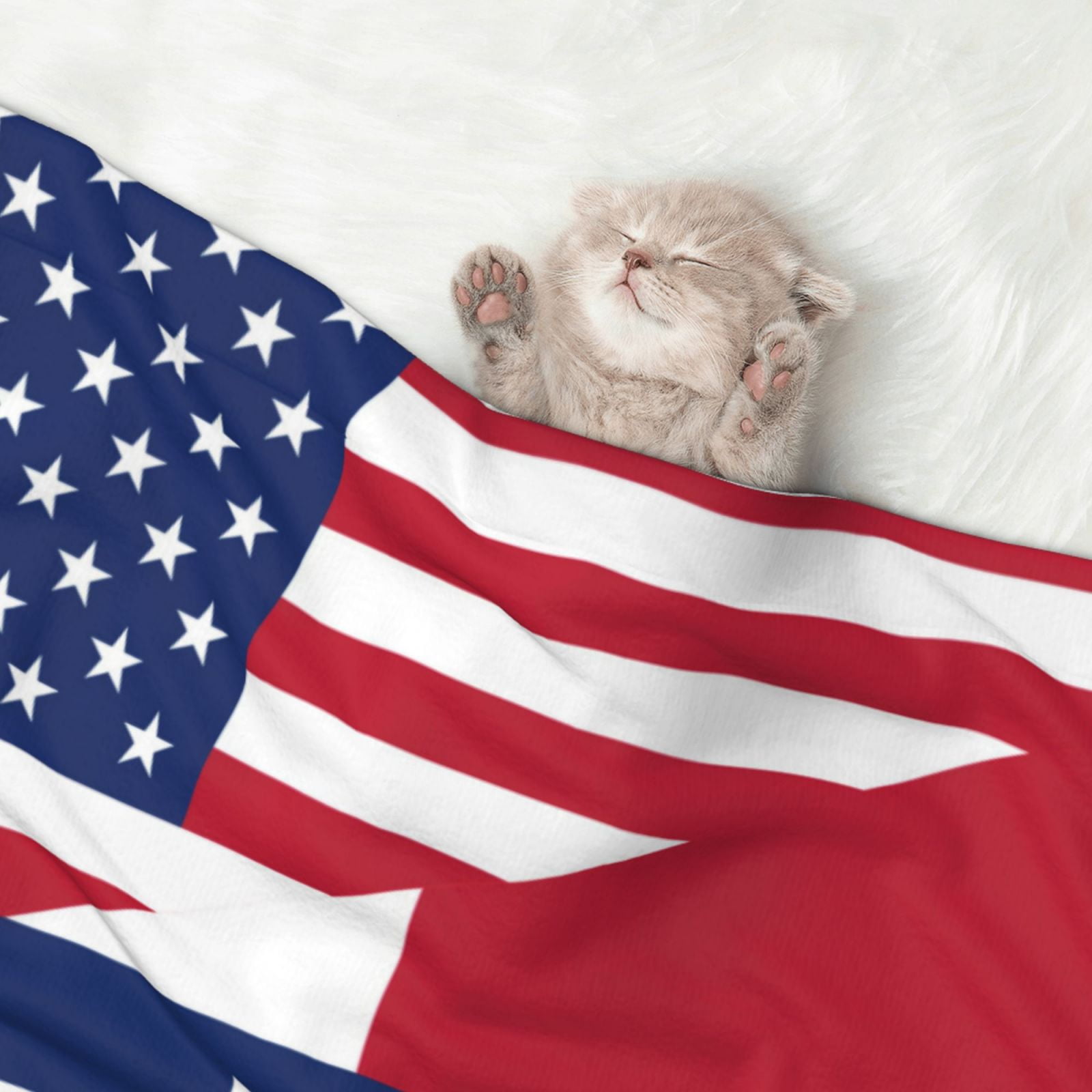 Flannel Throw Dog Blanket America Texas Flag Soft Warm Print Pet Blankets for Small Dog Cat Puppy
