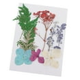 thumbnail image 1 of Hojas Prensas Flores Secas Zulema 25x Mixtas para DIY, 1 of 8