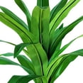 thumbnail image 4 of LCG Florals Artificial Plant, Dracaena, 2.83 ft, Woven Rattan Basket, 4 of 6