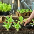thumbnail image 5 of PinesC Mason Line String Line,300 Ft Length Nylon Twine,18 Braided Nylon String for Gardening Or Masonry Tools,Twine String for Gardening,Yellow, 5 of 5