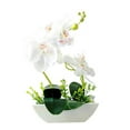 thumbnail image 2 of Artificial Phalaenopsis Orchid Plant In Ceramic Pot Large Fake Flowers For Home Decor Table Centerpiece Wedding Decoration Indoor, 2 of 4