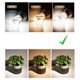 thumbnail image 3 of Bombillas LED E14 de maíz de 4000 K, bombillas LED de candelabro con base europea de 16 W, bombillas brillantes para iluminación del hogar, no regulables, 3 unidades, 3 of 5