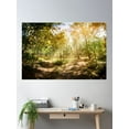thumbnail image 2 of Forêt Des Landes Poster Wall Art, Modern Wall Decor, 8x12 UNFRAMED, 2 of 3