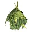 thumbnail image 4 of Sokhug Fake Fern - Artificial Ferns for Outdoors Faux Ferns for Outdoor Planter Large Outdoor Patio Decor Boston Fern Artificial Plants Faux Greenery Outdoor Porch Decor, 4 of 9